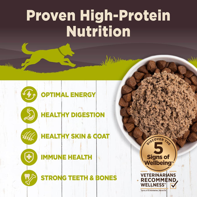 Wellness CORE Grain-Free Adult Wet Dog Food, Natural, 12.5oz, 12-Pack