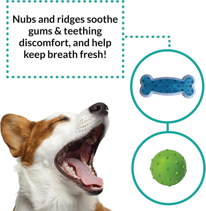 rocket & rex natural rubber and cotton dog chew toy set for small breeds, 6 pack assortment toy bundle