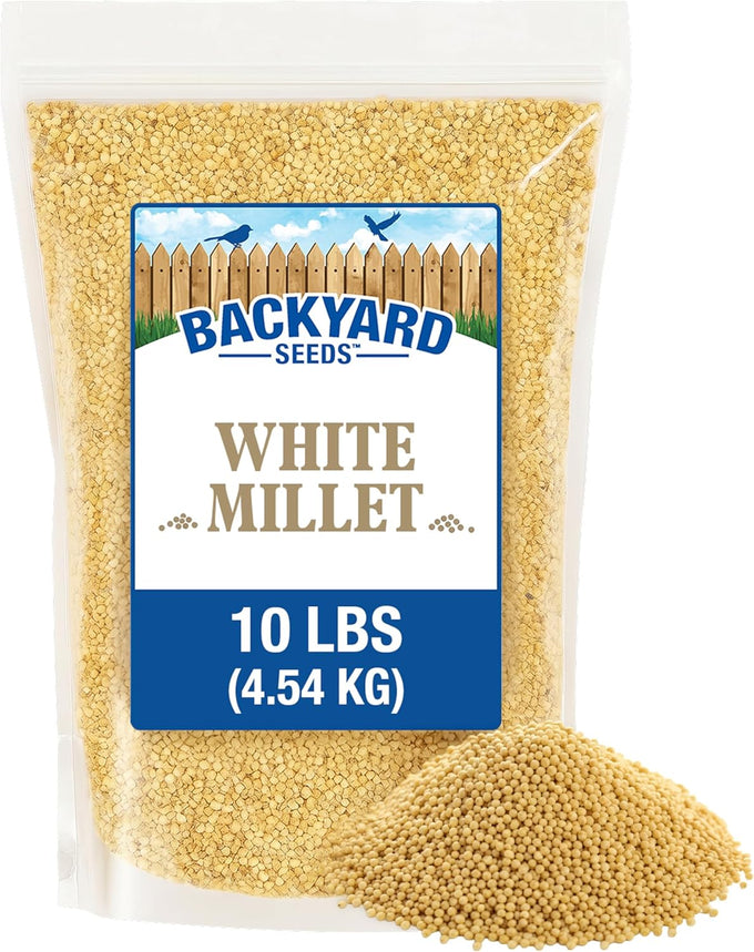 CountryMax White Millet Bird Seed - 8 lb USA Grown Premium Finch Food for Wild Birds