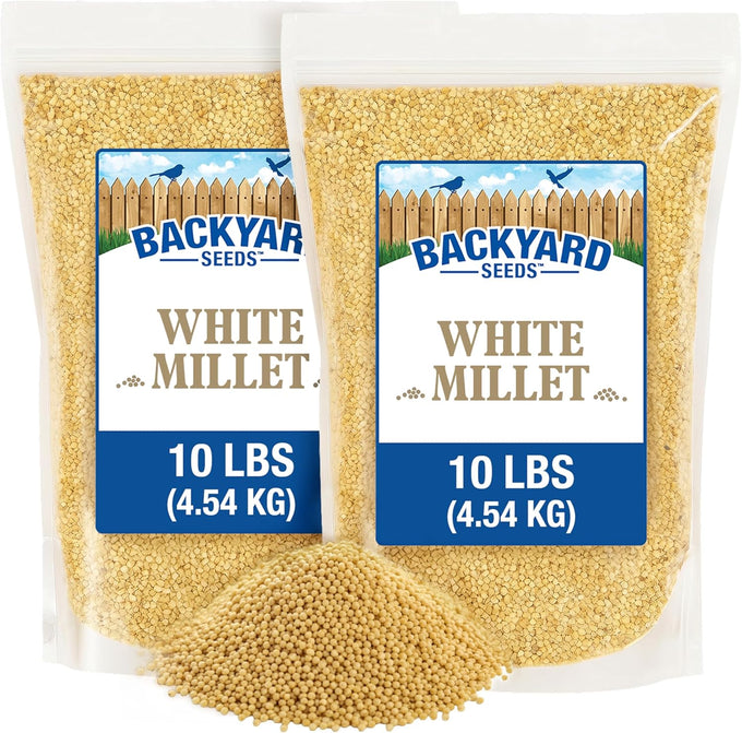 CountryMax White Millet Bird Seed - 8 lb USA Grown Premium Finch Food for Wild Birds