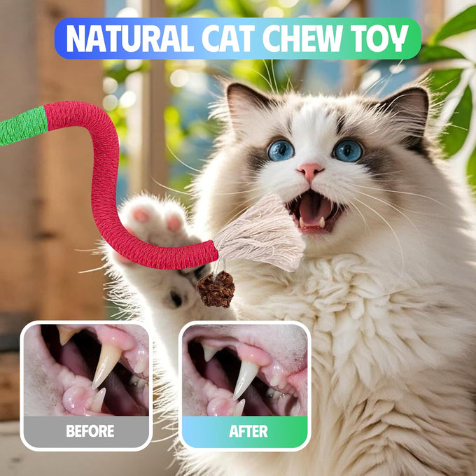 GBSYU 6Pcs Silvervine Cat Chew Rope & Sticks, Refillable Catnip Bag for Teeth Cleaning and Stress Relief