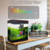 5-gallon glass aquarium starter kit for betta, shrimp, guppy, jellyfish, goldfish and beta with self-cleaning pump and 3-color light