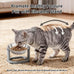 tifanso 6pcs stainless steel cat bowls, 5.6" shallow wide whisker friendly metal feeding dish set, kitten plates, dishwasher safe