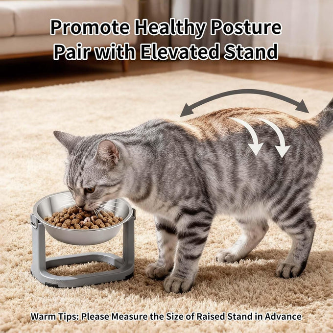 tifanso 6pcs stainless steel cat bowls, 5.6" shallow wide whisker friendly metal feeding dish set, kitten plates, dishwasher safe