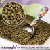 Blue Seal Fresh Show Hutch Deluxe 17 Rabbit Food with Resealable Packaging for Optimal Digestion and Healthy Growth