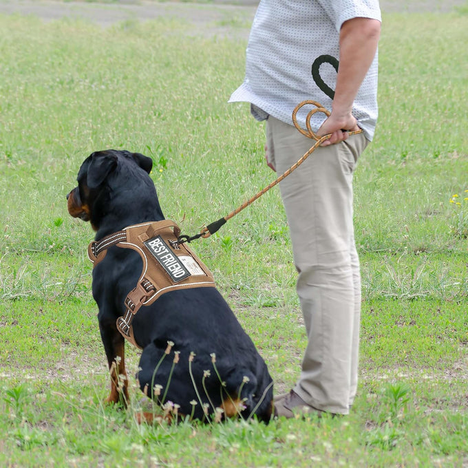 Beebiepet heavy duty tactical dog harness for small dogs, large, brown, no pull, adjustable, reflective