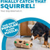 Outward Hound Hide-A-Squirrel 2-in-1 Plush Puzzle Dog Toy with 6 Squeaky Removable Squirrels, X-Large