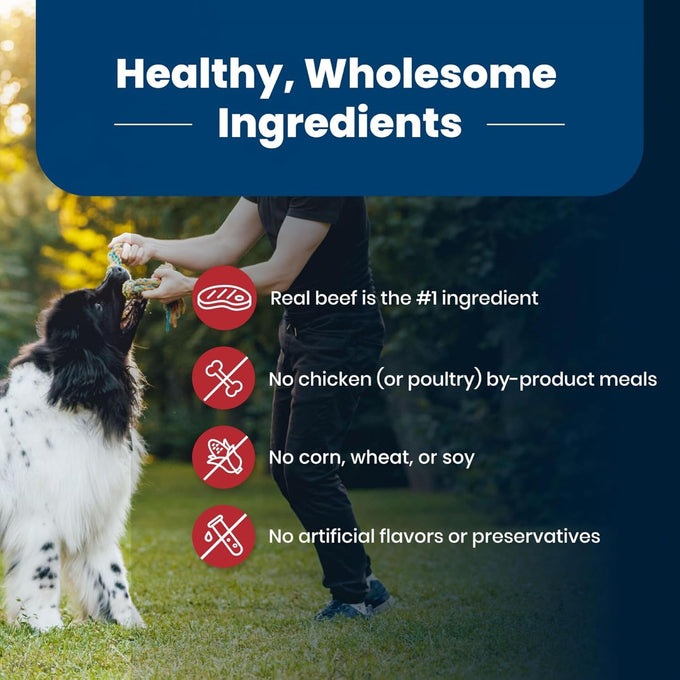 Blue Buffalo Life Protection Formula Adult Dry Dog Food, Beef & Brown Rice, 5-lb