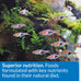 api tropical flakes fish food 1.1-ounce container for tropical community fish