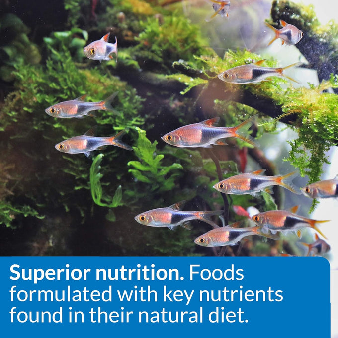 api tropical flakes fish food 5.7-ounce container for tropical community fish