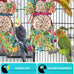 bissap 2pcs parrot foraging shredder toys sola balls sepak takraw for cockatiels parakeets conures love birds cage toy