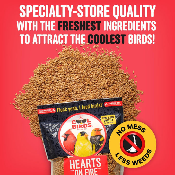 cool-birds-hearts-on-fire-hot-bird-seed-10-lb-100-hulled-sunflower-hearts-with-chili-pepper-oil