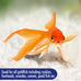 Aquarian Goldfish Flakes for Small Pond Fish, 50g Container, Complete Balanced Diet