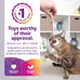 SmartyKat multi color 3 count bouncy mouse dangler plush cat toys interactive play stimulation