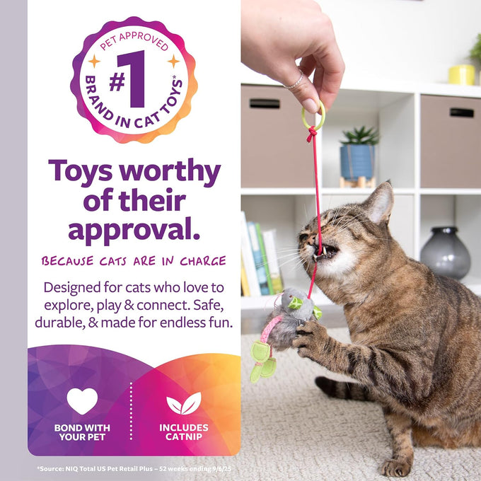 SmartyKat multi color 3 count bouncy mouse dangler plush cat toys interactive play stimulation