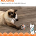 Catstages Squeak Squeak Mouse Cat Toy with Touch-Activated Sound, Catnip, and Soft Plush Gray