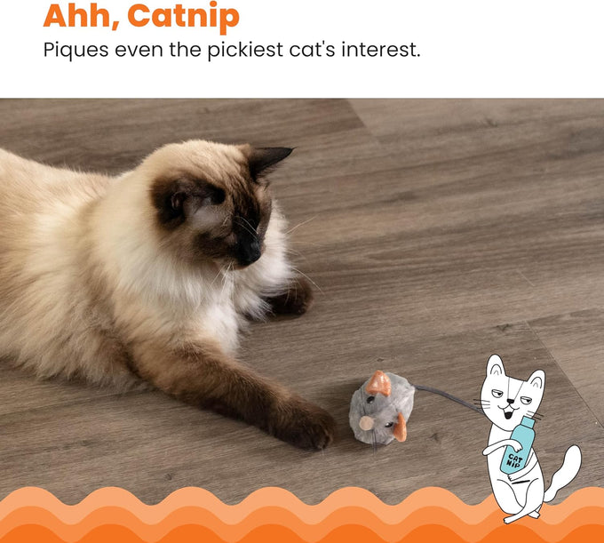 Catstages Squeak Squeak Mouse Cat Toy with Touch-Activated Sound, Catnip, and Soft Plush Gray