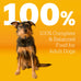 Pedigree Adult Dry Dog Food, Roasted Chicken & Vegetable, 18 lb