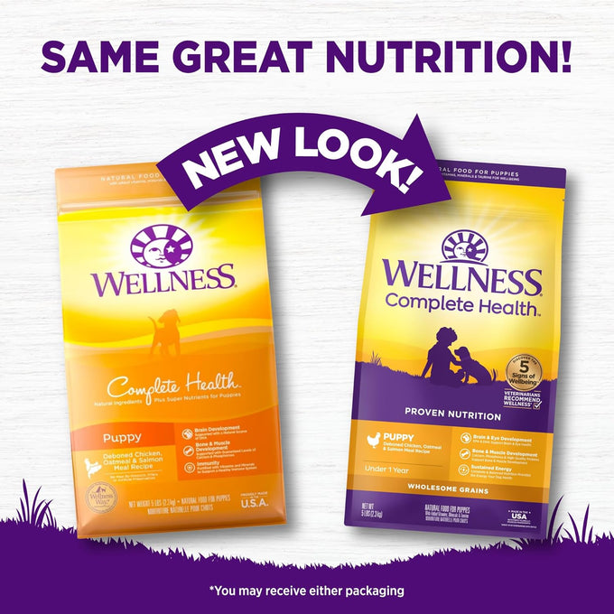 Wellness Wholesome Grain Puppy Dry Dog Food, 5 lb Bag, Chicken, Oatmeal, and Salmon Recipe, All Natural, Grain Free