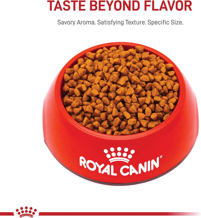 Royal Canin X-Small Puppy Dry Dog Food, 3 lb Bag