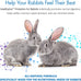HealthyGut Probiotics for Rabbits 120 servings all-natural digestive system formula with 15 species of probiotic organisms