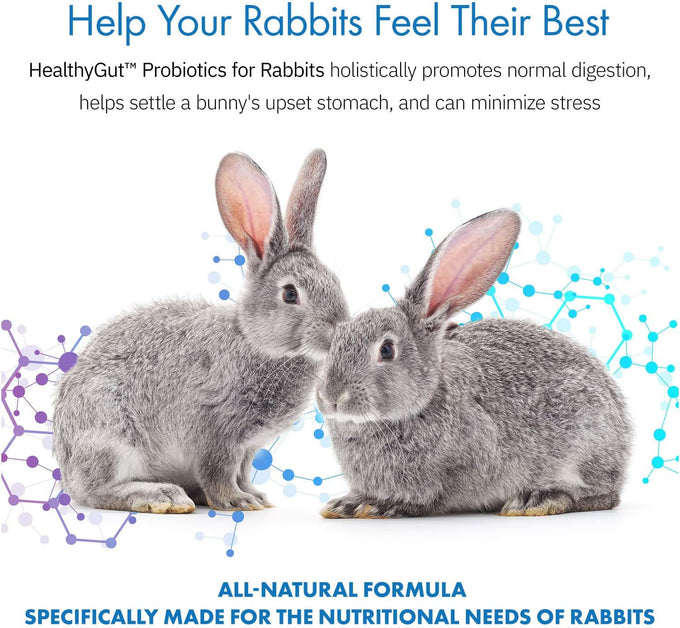HealthyGut Probiotics for Rabbits 120 servings all-natural digestive system formula with 15 species of probiotic organisms