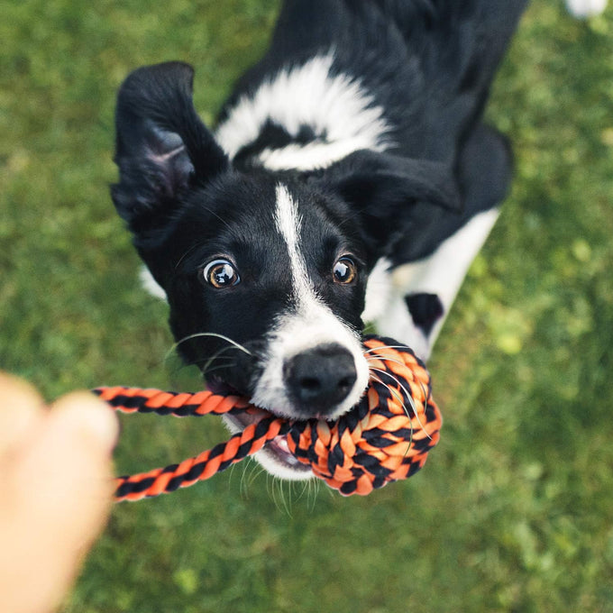 SharlovY Large Tough Chew Toys for Aggressive Chewers, 9-Kit Cotton Rope Toys Set for Medium-Large Breed Dogs