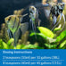 Api Quick Start Freshwater and Saltwater Aquarium Nitrifying Bacteria 4-Ounce Bottle for New Aquariums and Water Changes