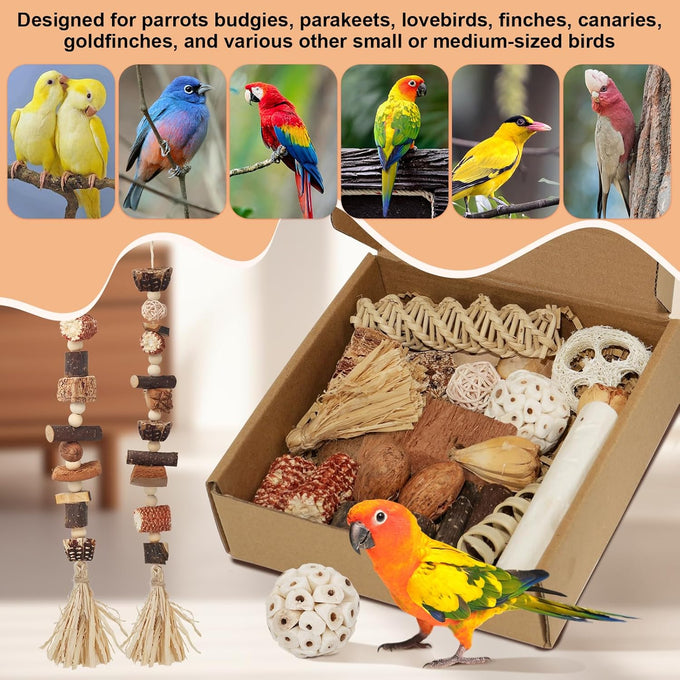 Bird Toys Parrot Natural Foraging Box Medium for Parakeets, Cockatiels, Conures, Small to Medium Birds Cage Accessories
