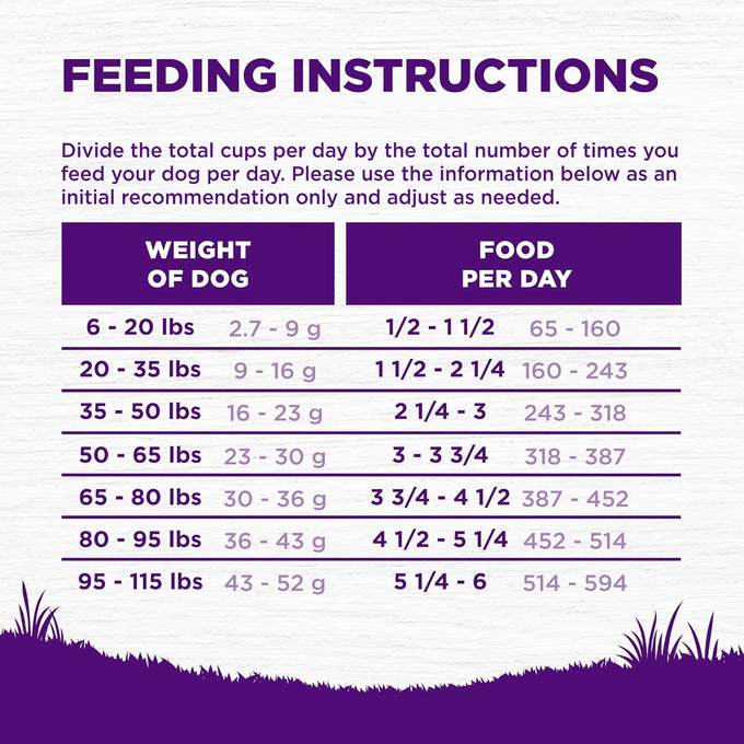 Wellness Complete Health Sensitive Skin and Stomach Dry Dog Food, Wholesome Grain Kibble, Natural, Chicken Free, Salmon and Rice Recipe, 5 lb Bag