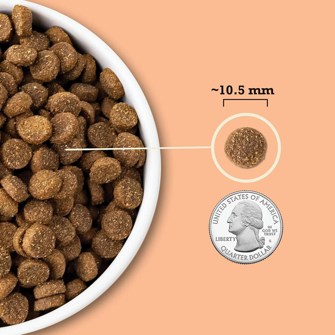 ACANA Wholesome Grains Puppy Dry Dog Food, Chicken & Turkey, 4lb