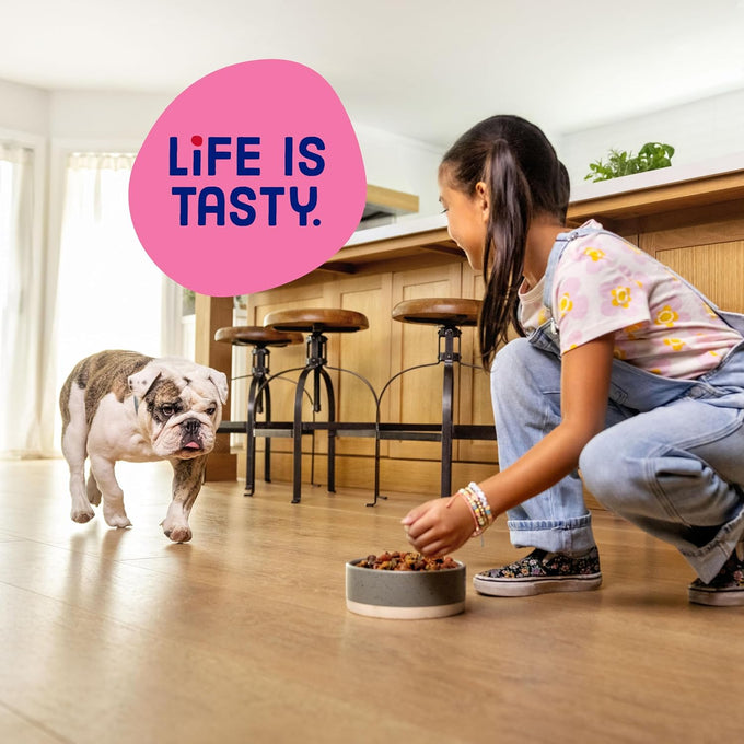 Kibbles 'n Bits Mini Bits Small Breed Dry Dog Food, 16 lb
