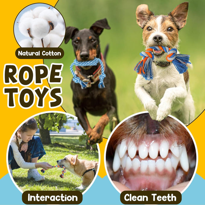 Zeaxuie 9-pack puppy toys bundle for small dogs, teething toys, squeaky plush and rope chew toys
