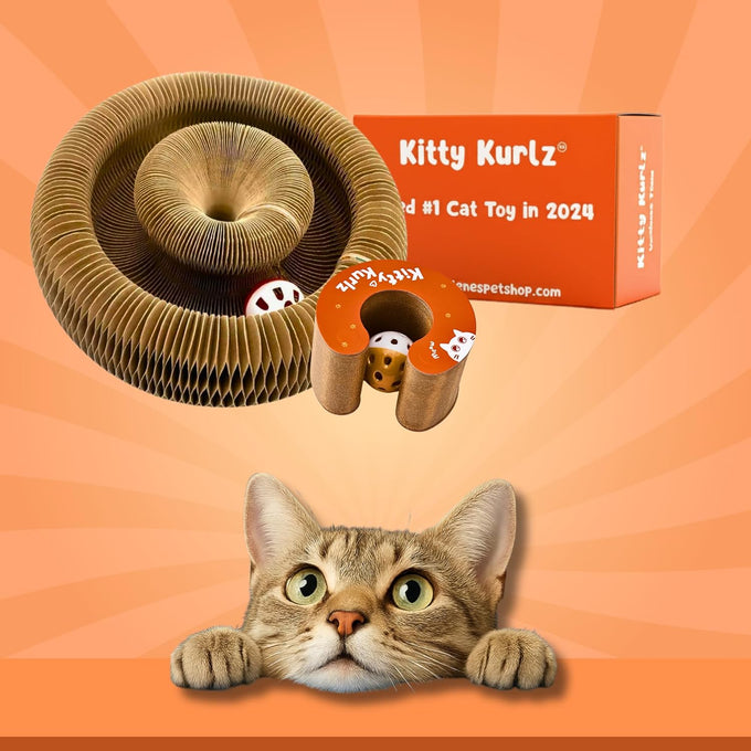 Kitty Kurlz 3-in-1 Cat Toy & Scratcher, Collapsible Ball Track with Bell, Reversible Cardboard Lounge for Indoor Cats
