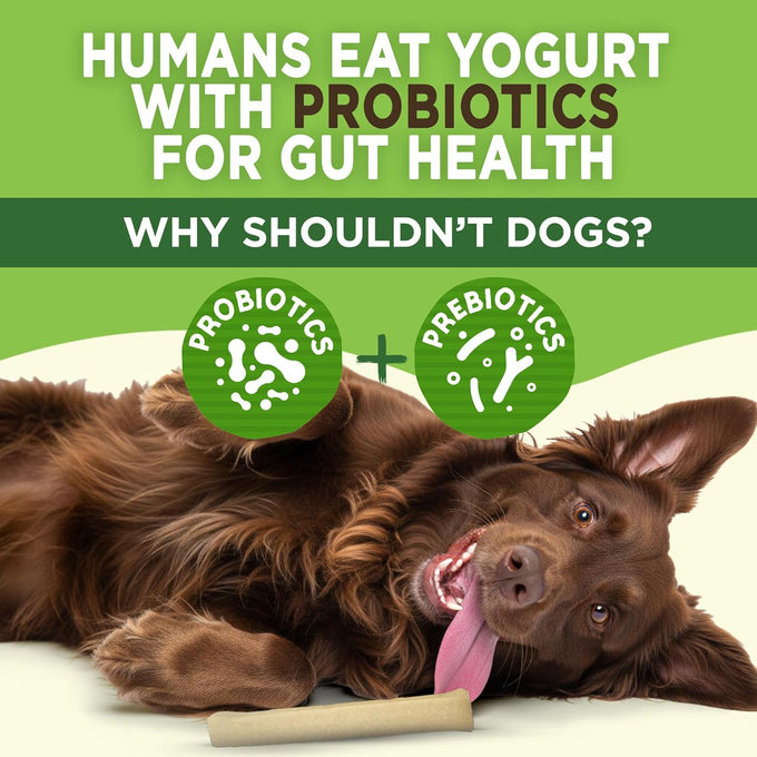 EcoKind Peanut Butter Yogurt Dog Chews - Probiotics, Lactose Free, Grain Free, Natural Dog Treats for All Breeds, USA Made, 25 Chews