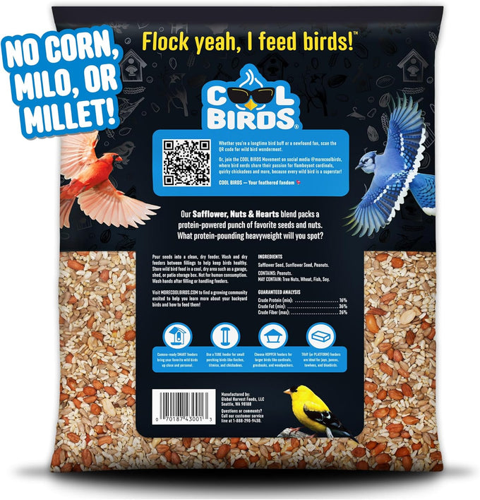 Cool Birds Safflower sunflower hearts peanuts 10 lb wild bird seed no corn milo millet outside feeders gourmet bird food