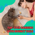 Bouncy Tails 5 Pack Natural Feather Bouncy Ball for Indoor Cats and Kittens Play Toy Set