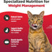 Nulo Freestyle Adult Trim Dry Cat Food - Salmon & Lentils, High Protein, Grain Free, Weight Management Kibble with Probiotics & L-Carnitine, 4lb Bag