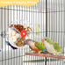 Bird Creative Foraging System Wheel Seed Food Ball Rotate Training Toy for Small Parrots