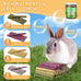 52pcs Natural Timothy Grass Molar Teeth Sticks, Rabbit Chew Toys, Guinea Pig Treats, Small Animal Snacks