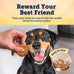 Blue Buffalo 12-oz Chicken and Apple Sausage True Chews Dog Treats, Made in the USA with Natural Ingredients
