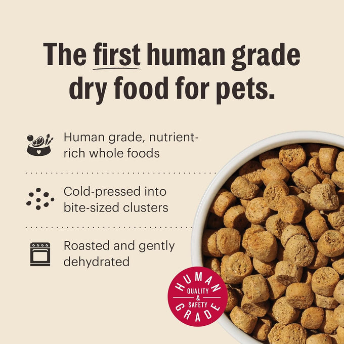 The Honest Kitchen Whole Food Clusters Grain-Free Chicken Dog Food, 1 lb