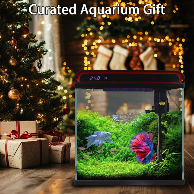 5-gallon glass aquarium starter kit for betta, shrimp, guppy, jellyfish, goldfish and beta with self-cleaning pump and 3-color light