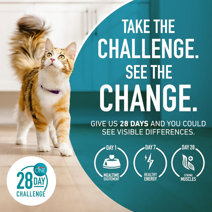 Purina ONE High Protein, Healthy Plus Ideal With Chicken Dry Cat Food for Weight Control, 7 lb Bag, Crunchy Kibble