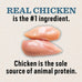 Dr. Pol Chicken Dog Food - High Energy Dry Kibble, Sensitive Stomach
