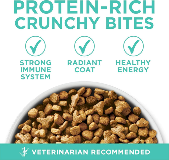 Purina one sensitive stomach cat food, high protein, turkey first ingredient, 16 lb bag, sensitive skin and stomach formula