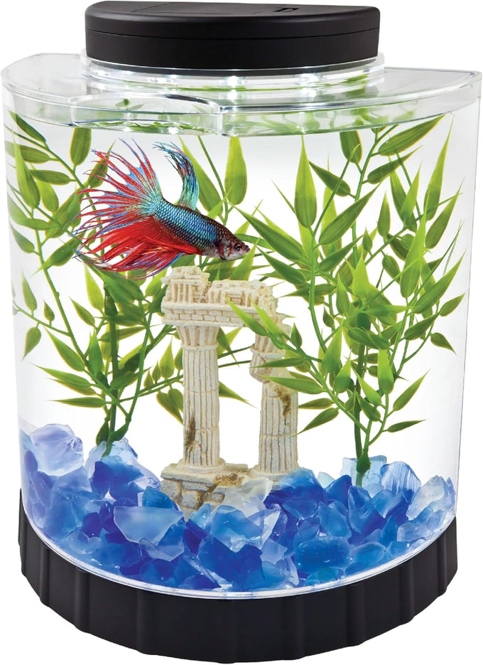 Tetra LED half moon aquarium kit with clear plastic fish tank ideal for betta fish care, small, 1.1 gallons, energy-efficient LED lighting