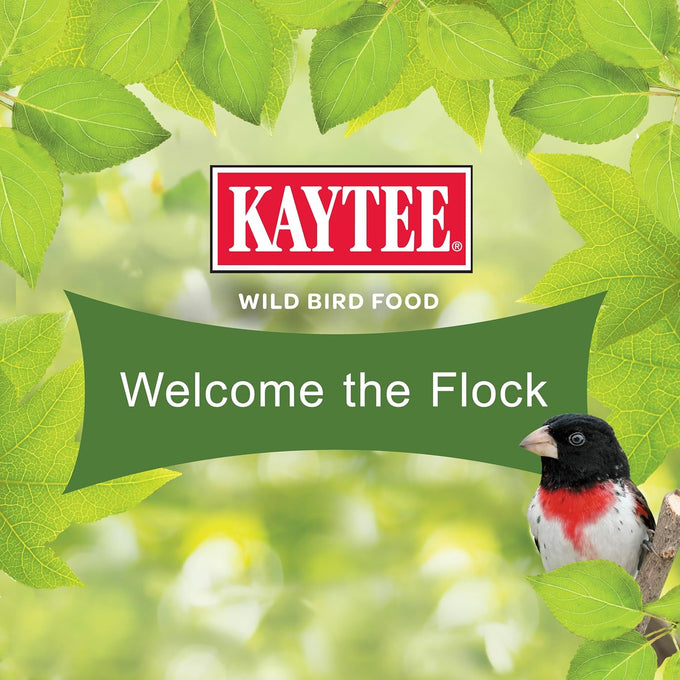 kaytee wild bird ultimate no mess seed mix for cardinals and colorful songbirds 9.75 lb