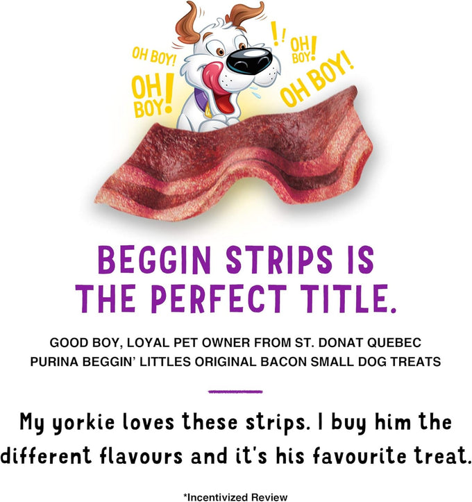 Purina Beggin' with Real Meat Dog Treats, Original with Bacon Flavor, 25 oz Pouch