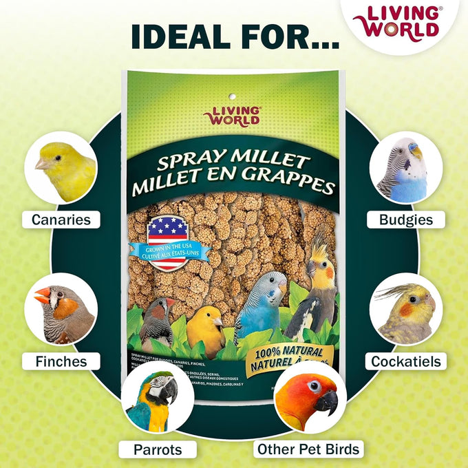 Living World Millet Spray for Birds 3.5 Oz - Premium Treat for Pet Birds and Small Birds